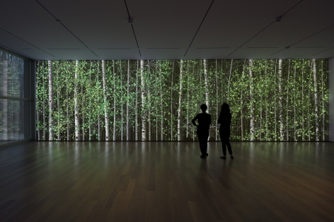 Jennifer Steinkamp: Blind Eye, Installation view, The Clark Art Institute, Williamstown, MA