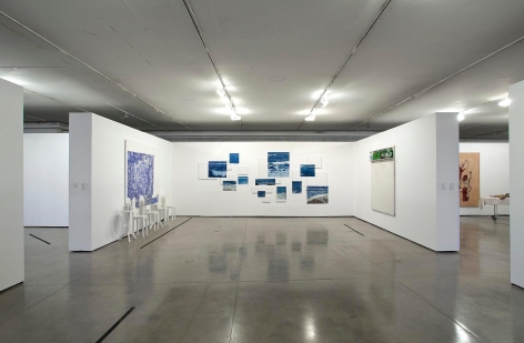 ADRIANA VAREJÃO: Histories at the Margins