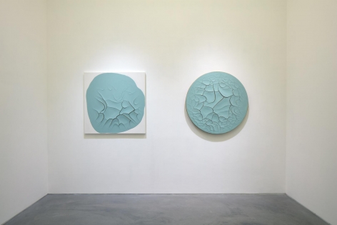Adriana Varejão Installation View 5