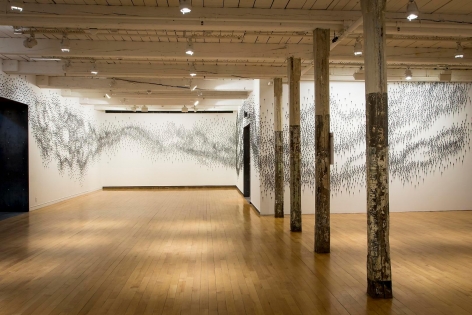 Teresita Fernández: As Above So Below