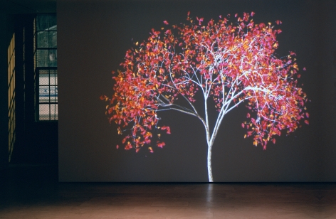 JENNIFER STEINKAMP: DERVISH Installation at Lehmann Maupin view 4.