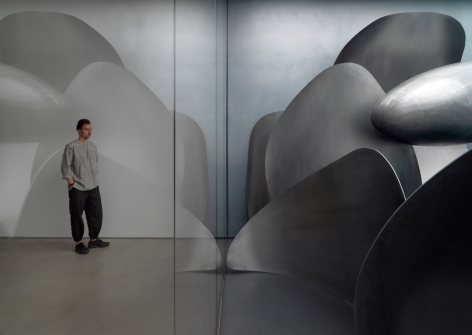 LIU WEI, Microworld (detail), 2018