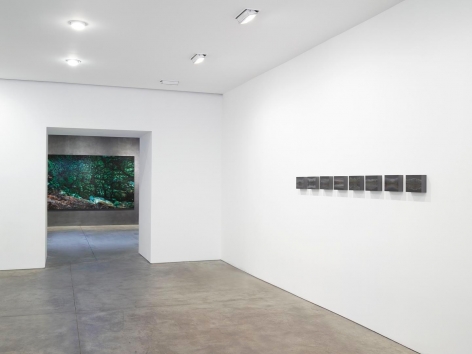 Teresita Fernández Installation View 5