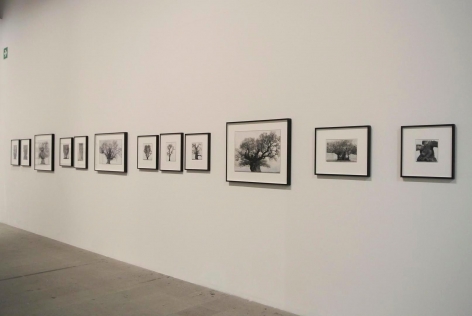 Installation view, 55th International Venice Biennale
