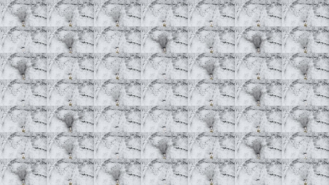 SHIRAZEH HOUSHIARY Dust, (still frame) 2011-2013