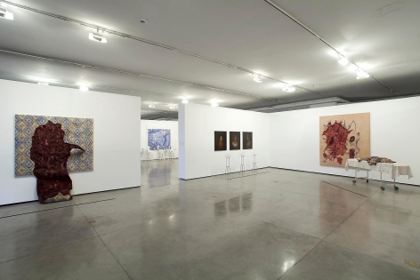 ADRIANA VAREJÃO: Histories at the Margins