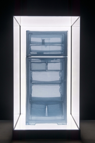 DO HO SUH, Refrigerator, Apartment A, 348 West 22nd Street, New York, NY 10011, USA, 2013
