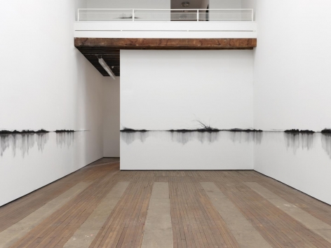 Teresita Fernández, Fire (America) installation view 3