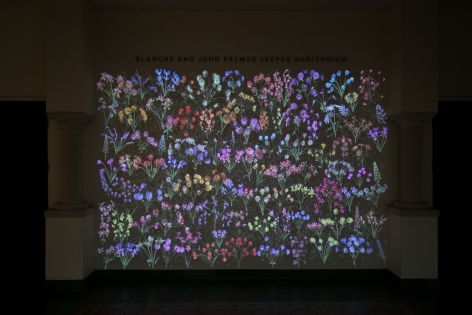 Jennifer Steinkamp: Botanic 3, Installation view, McNay Art Museum, San Antonio, TX