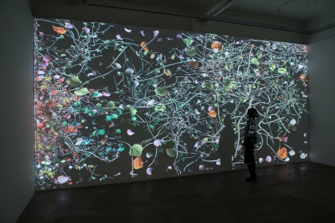 Jennifer Steinkamp: Diaspore Installation view 2