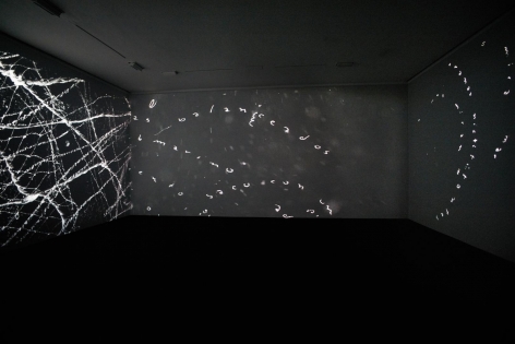 CECILIA VICUÑA La India Contaminada
installation view 7