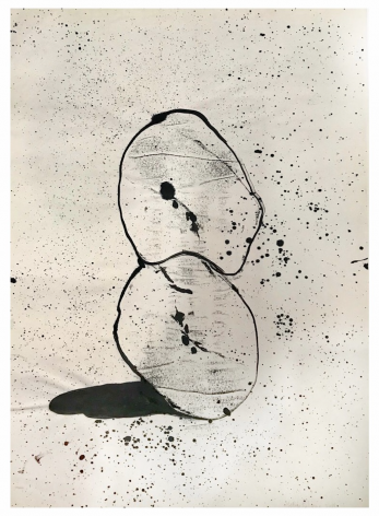 Dominate Balance, 2014