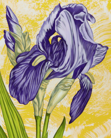 BRINTZ GALLERY, JOHN NEWSOM, Sentiment of Wonder, 2019, Oil on canvas, 30 by 24 inches, Flora, 'Meadow Paintings' Series, Unique Art