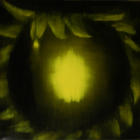 Ross Bleckner Untitled, 2009 Oil on canvas