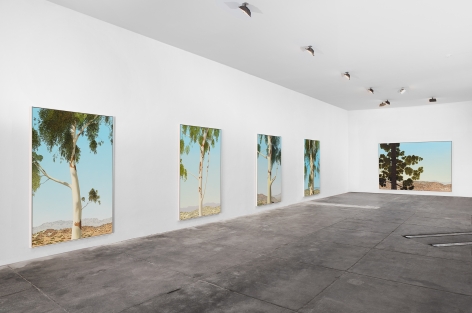 Installation View of Jake Longstreth: MARFA Invitational (April 22-25, 2021)