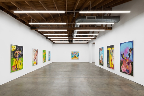Installation View 1 of The Woodstock's Boy