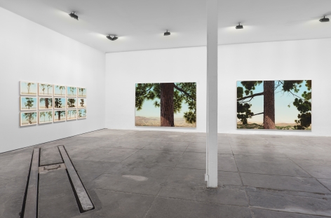 Installation View of Jake Longstreth: MARFA Invitational (April 22-25, 2021)