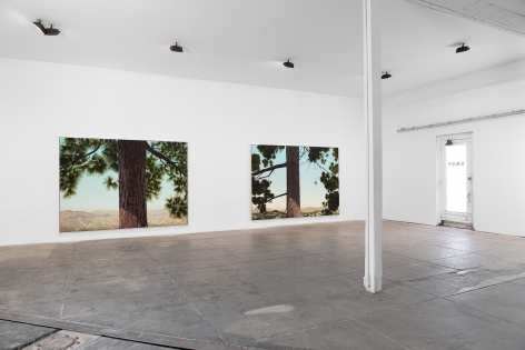 Installation View of Jake Longstreth: MARFA Invitational (April 22-25, 2021)