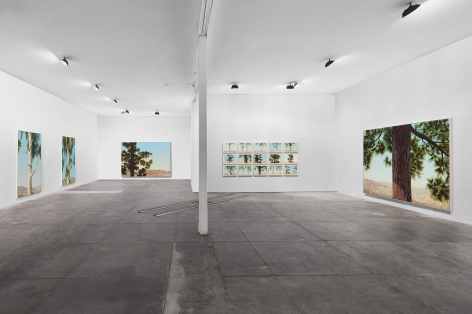 Installation View of Jake Longstreth: MARFA Invitational (April 22-25, 2021)