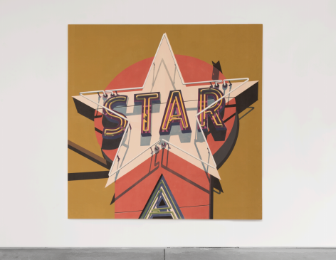 Robert Cottingham Southern Star, 2009