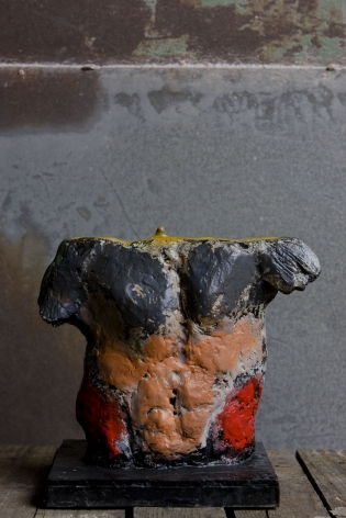 "Hercules Model 20 - Torso", 2009