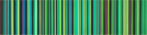 Green (onions), 2017, Synthetic polymer on canvas