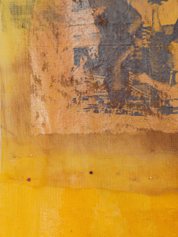 Tomashi Jackson "Grape Fruit Punch (McKinney Pool Party)(Topeka Classroom)", 2016 Mixed media on gauze 65 x 60-1/4 inches Detail view