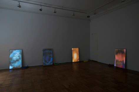 Luca Dellaverson: Fight This Generation Installation View