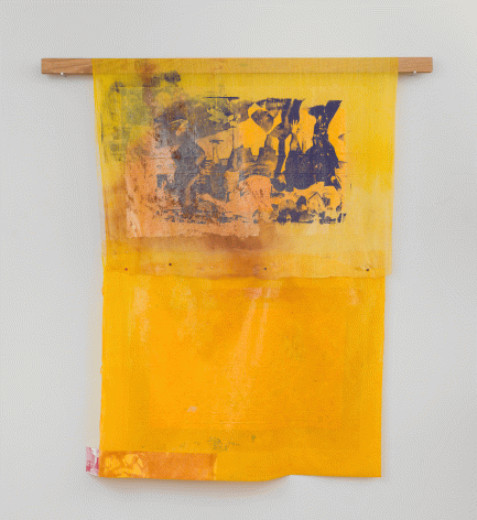 Tomashi Jackson "Grape Fruit Punch (McKinney Pool Party)(Topeka Classroom)", 2016 Mixed media on gauze 65 x 60-1/4 inches