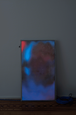 Luca Dellaverson "Home Alone 2: Lost in New York", 2015 Epoxy, plexi glass, LCD monitor, and pirated digital file 41-1/2 x 24-1/2 x 1-1/2 inches