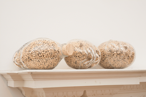 Fred Holland: SSAPMOC Installation View