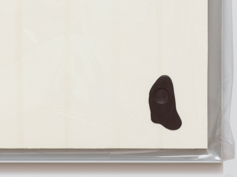 Egan Frantz "Light Scroll #3 (Isosephic Composition in 93)", 2015 SmallCorp Harbor Gray TF-X Aluminum Floater Frame, SmallCorp SP3-PF Panel, Expression® BufferMount® Drymounting Adhesive, Cottonelle® Kleenex® Brand Toilet Tissue, Performix Clear Plasti Dip® Sprayable Thermoplastic, Wax, .005 mil Polyester Film, and Hardware. 55-1/2 x 26-3/4 x 1 inches Detail View