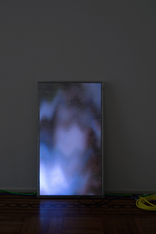 Luca Dellaverson "Jurassic Park", 2015 Epoxy, plexi glass, LCD monitor, and pirated digital file 41-1/2 x 24-1/2 x 1-1/2 inches