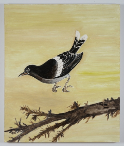 Gang Zhao Bird, 2016