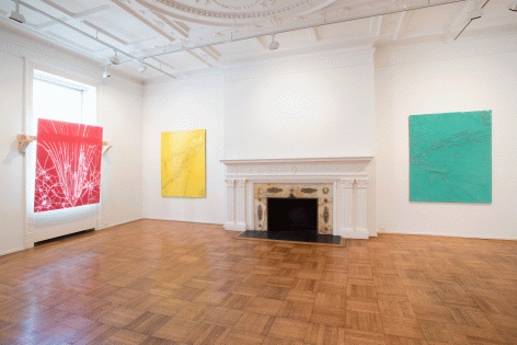 Luca Dellaverson: Fight This Generation Installation View