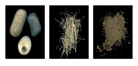Barbara T. Smith Rocks, Weeds, Dirt, 2019 Archival pigment print, ed. 50
