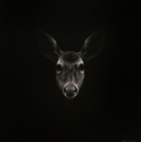 Mitchell Lonas, Solace II, 2020