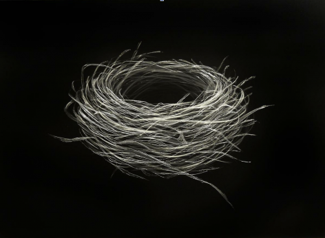 Sparrow Nest III