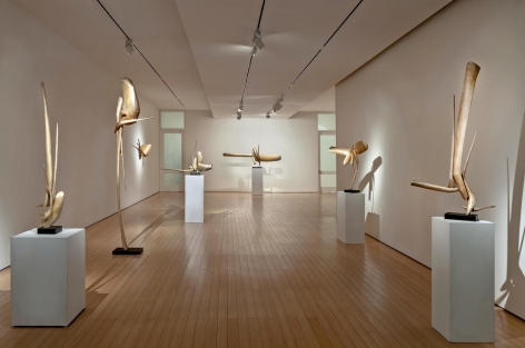 Gallery View