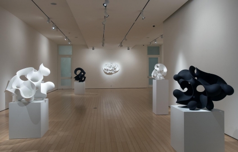 Gallery View