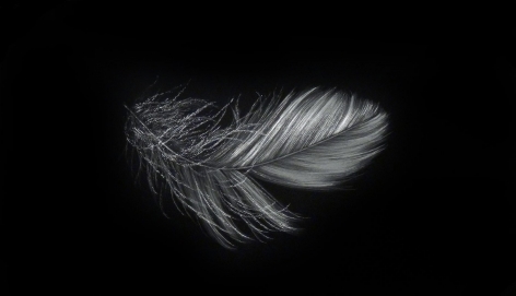 Feather III incised painted aluminum