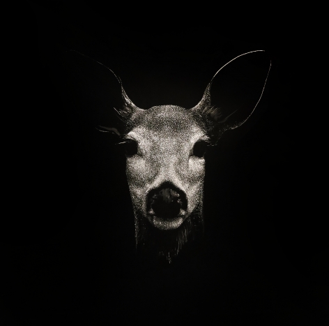 Mitchell Lonas Solace, Evening, 2020