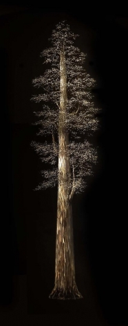 Redwood II incised painted aluminum