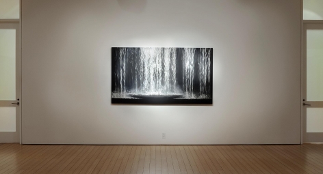 Gallery View 2016
