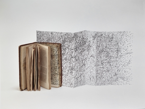 Bertrand Flachot Ex-Croissances XII, 2019