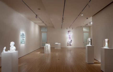 Gallery View