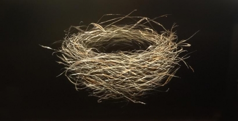 January Nest 2014