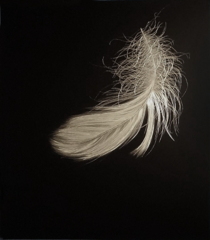 Swan Down 2012