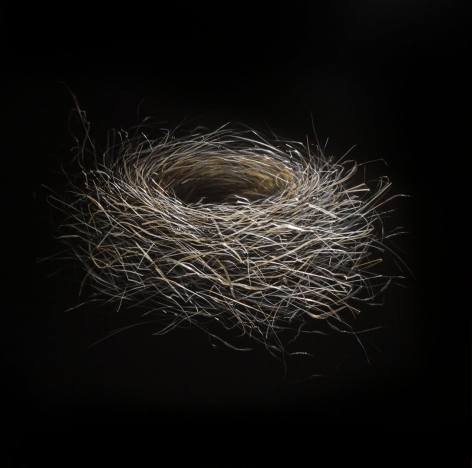 Bluebird Nest incised painted aluminum