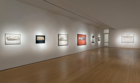 Gallery View